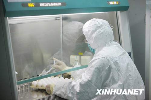 6月8日，科研人員在進(jìn)行毒株種子批的制備工作。新華社記者 邢廣利 攝