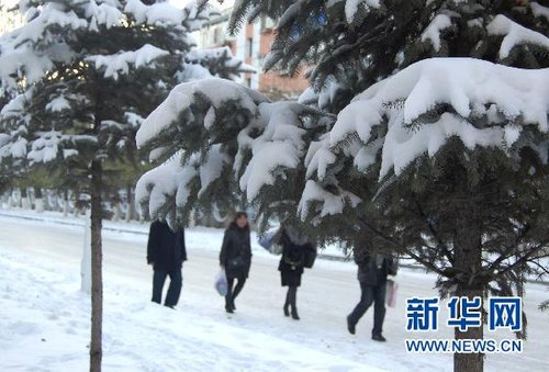 哈爾濱、大慶降下今年入冬以來第一場雪