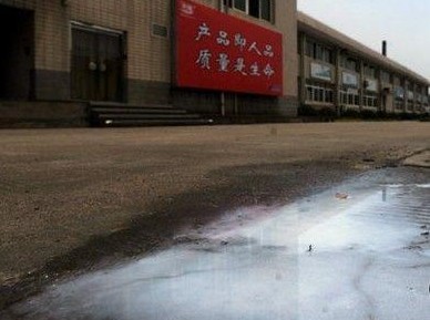 光明乳業(yè)廠門口被傾倒的牛奶。