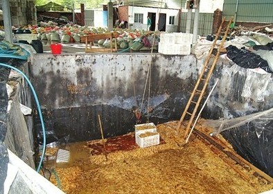 數(shù)十平方米的大池子，黑心商家用工業(yè)檸檬酸泡出35噸金針菇