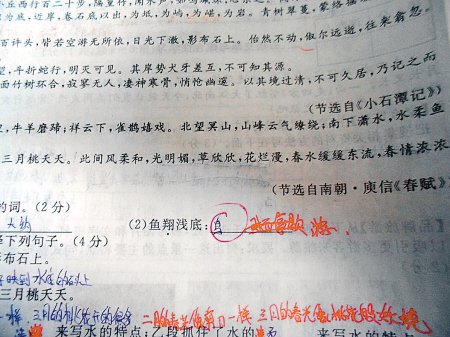 這是6月18日，網(wǎng)友“啃梨掉顆牙”發(fā)在網(wǎng)上的試卷照片。