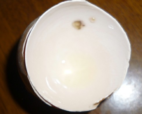 青島家樂(lè)福散雞蛋四天長(zhǎng)斑 店方稱存放過(guò)久
