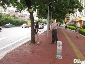 兄妹吵架哥哥當街將其捆到樹上 五花大綁似SM