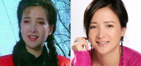 經(jīng)典臺(tái)劇中的內(nèi)地藝人