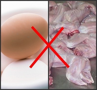 食物這么搭配等于自殺