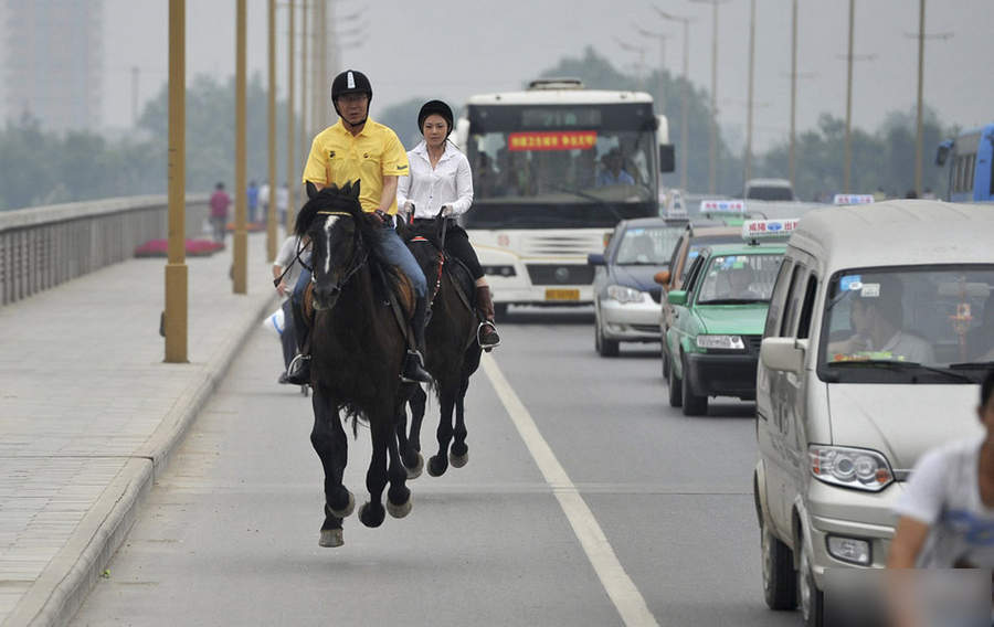 網(wǎng)絡(luò)走紅 真心沒難度