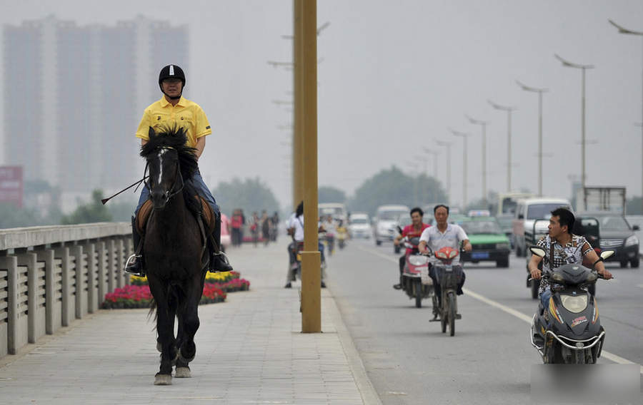 網(wǎng)絡(luò)走紅 真心沒難度