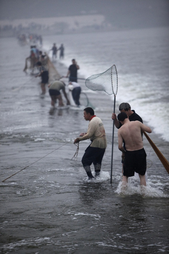 洛河水漲 洛陽(yáng)市民集體撈魚