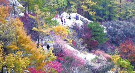 青島今日降溫幅度達6℃ 25日再遇冷空氣