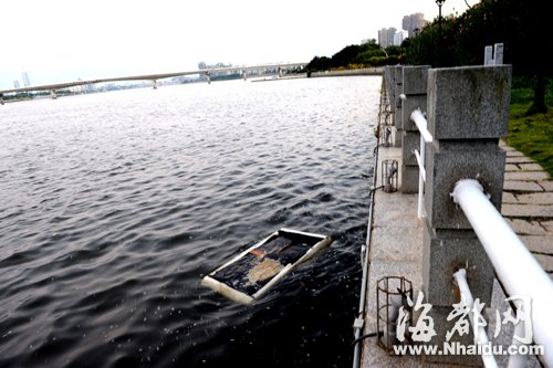 閩江公園南園沿線，閩江混雜污水，漂著垃圾，散發(fā)出腥臭。