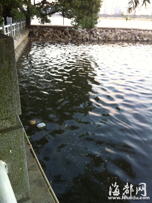閩江公園南園沿線，閩江混雜污水，漂著垃圾，散發(fā)出腥臭。