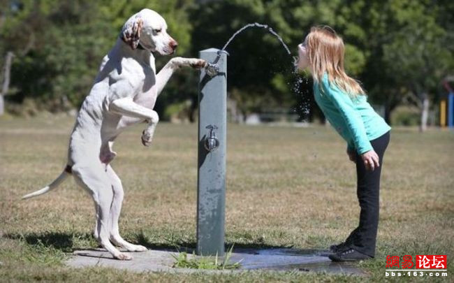 能笑一整天的趣圖