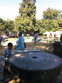 中山公園歷史追至明代 550歲會前村成新景點(diǎn)