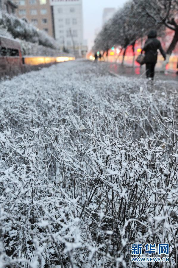 （生態(tài)）（3）內(nèi)蒙古東部、東北大部遭遇寒潮降雪天氣