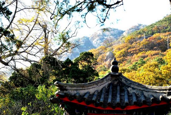 曬絕美嶗山初冬游記 文藝青年最?lèi)?ài)