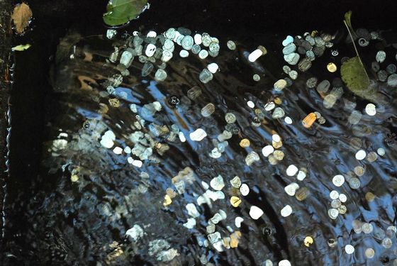 曬絕美嶗山初冬游記 文藝青年最愛(ài)