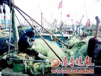 青島漁船進入捕撈最后狂歡季 12月風波惡難出海