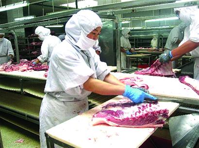 吃豬肉等于自殺不靠譜 記者逐環(huán)節(jié)調查揭真相