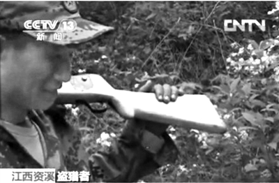 記者在資溪縣一林場(chǎng)看到三名盜獵者。央視截屏