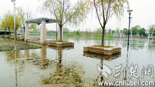 圖為：公園里的人行道被淹沒(méi) 