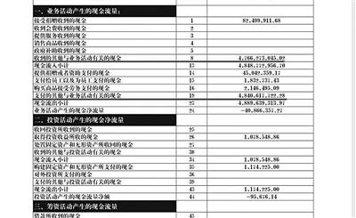 舉報(bào)人周筱赟貼出的中華兒慈會(huì)2011年財(cái)務(wù)報(bào)表，并標(biāo)出可疑項(xiàng)目。網(wǎng)絡(luò)截圖