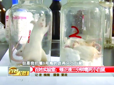 4三分鐘后，修正液瓶中的小白鼠死亡