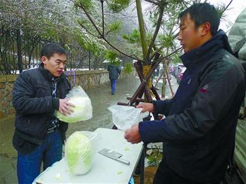 市人大代表、政協(xié)委員關(guān)注“菜事”建議拓寬銷售渠道