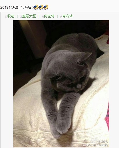 黃宗澤攜新歡游上海被拍 胡杏兒感慨：永別了！