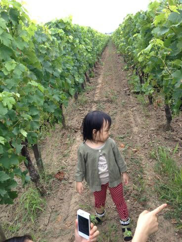 趙薇攜小四月與王菲兩女就餐 “三姐妹”一見如故