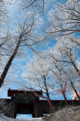 嶗山景區(qū)派發(fā)年終紅利 金牌導(dǎo)游獲獎(jiǎng)轎車(chē)