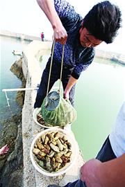 市場(chǎng)賣海參兩成喂消炎藥 長(zhǎng)期食用易導(dǎo)致神經(jīng)炎