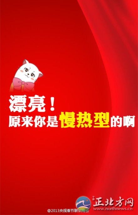 盤點(diǎn)2013年央視蛇年春晚流行語(yǔ)走紅網(wǎng)絡(luò)【組圖】