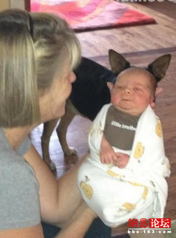 送給你 無聊的生活需要亮點(diǎn)