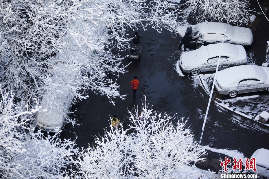 2013年3月20日早晨，降雪后的北京，全城銀裝素裹