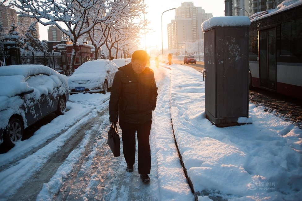 2013年3月20日早晨，降雪后的北京，全城銀裝素裹