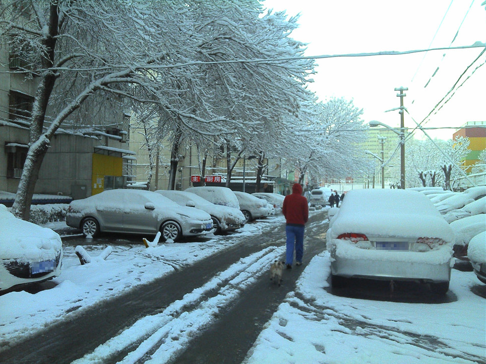 2013年3月20日早晨，降雪后的北京，全城銀裝素裹