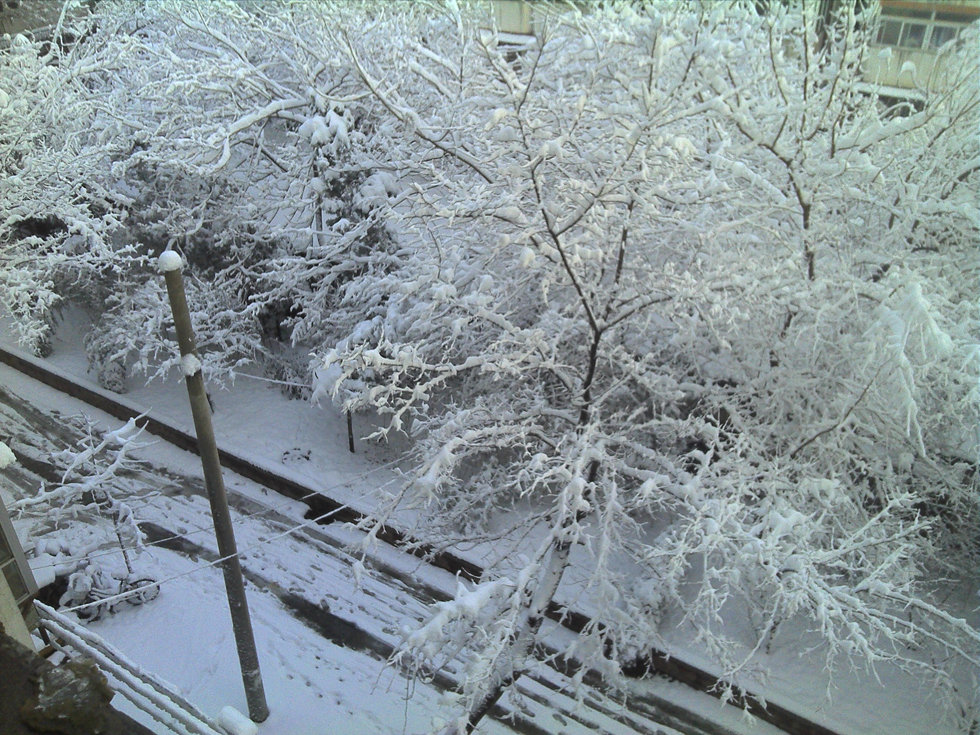 2013年3月20日早晨，降雪后的北京，全城銀裝素裹
