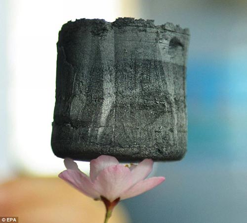 由浙江大學(xué)教授開發(fā)的石墨稀氣凝膠體，可可穩(wěn)穩(wěn)地立于一朵花的花瓣上。