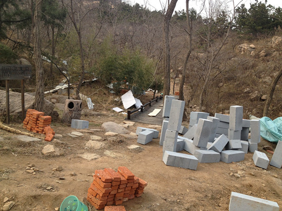 膠南大珠山杜鵑花會無花可看，市民稱花錢看樹枝