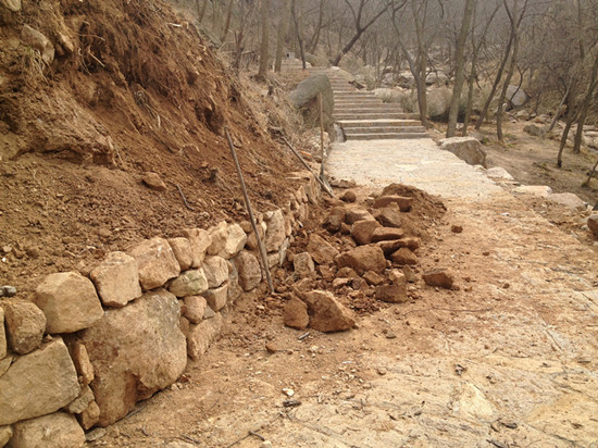 膠南大珠山杜鵑花會無花可看，市民稱花錢看樹枝