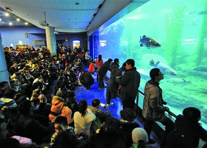 陰雨綿綿帶火室內景點 游客雨中游青島