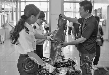 在一旅客行李中查獲的70余張鱷魚(yú)皮。