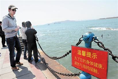 青島確定八家禽流感定點收治醫(yī)院 青島確定八家禽流感定點收治醫(yī)院