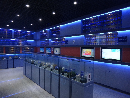 國(guó)內(nèi)首家食品安全科普館亮相青島 免費(fèi)開(kāi)放