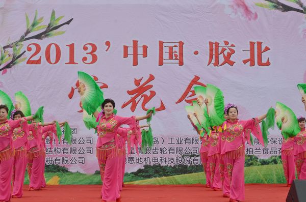 膠北賞花會(huì)開幕 市民賞花摘草莓享受天然