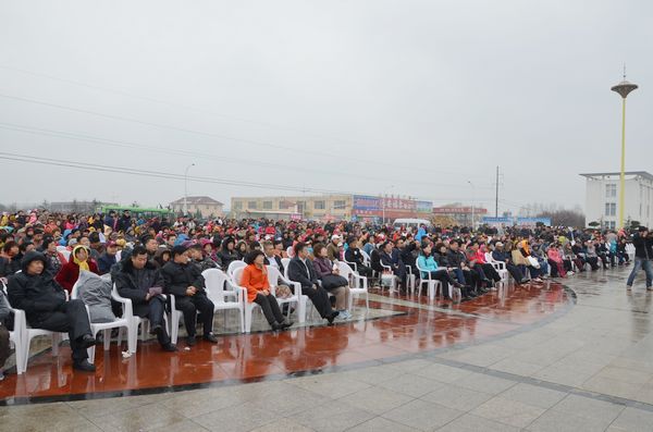 膠北賞花會(huì)開幕 市民賞花摘草莓享受天然