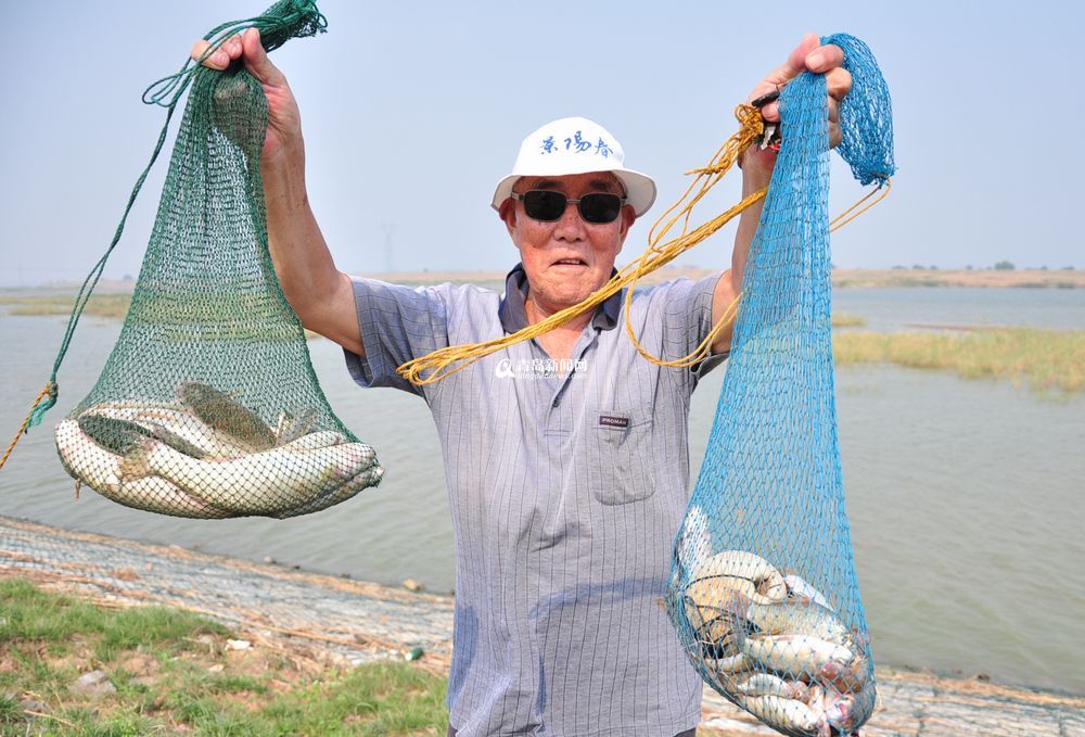 盛夏大沽河水草豐美 大閘蟹一小時(shí)抓十斤
