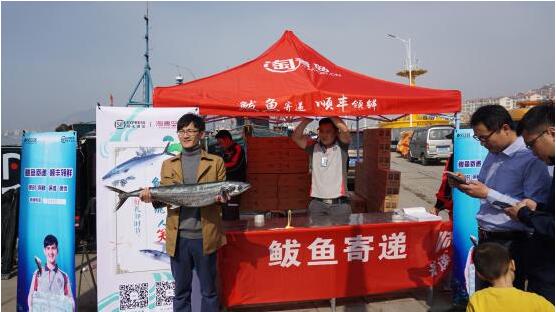 今年的沙子口鮮鲅魚僅售15天 盡孝要趁早！